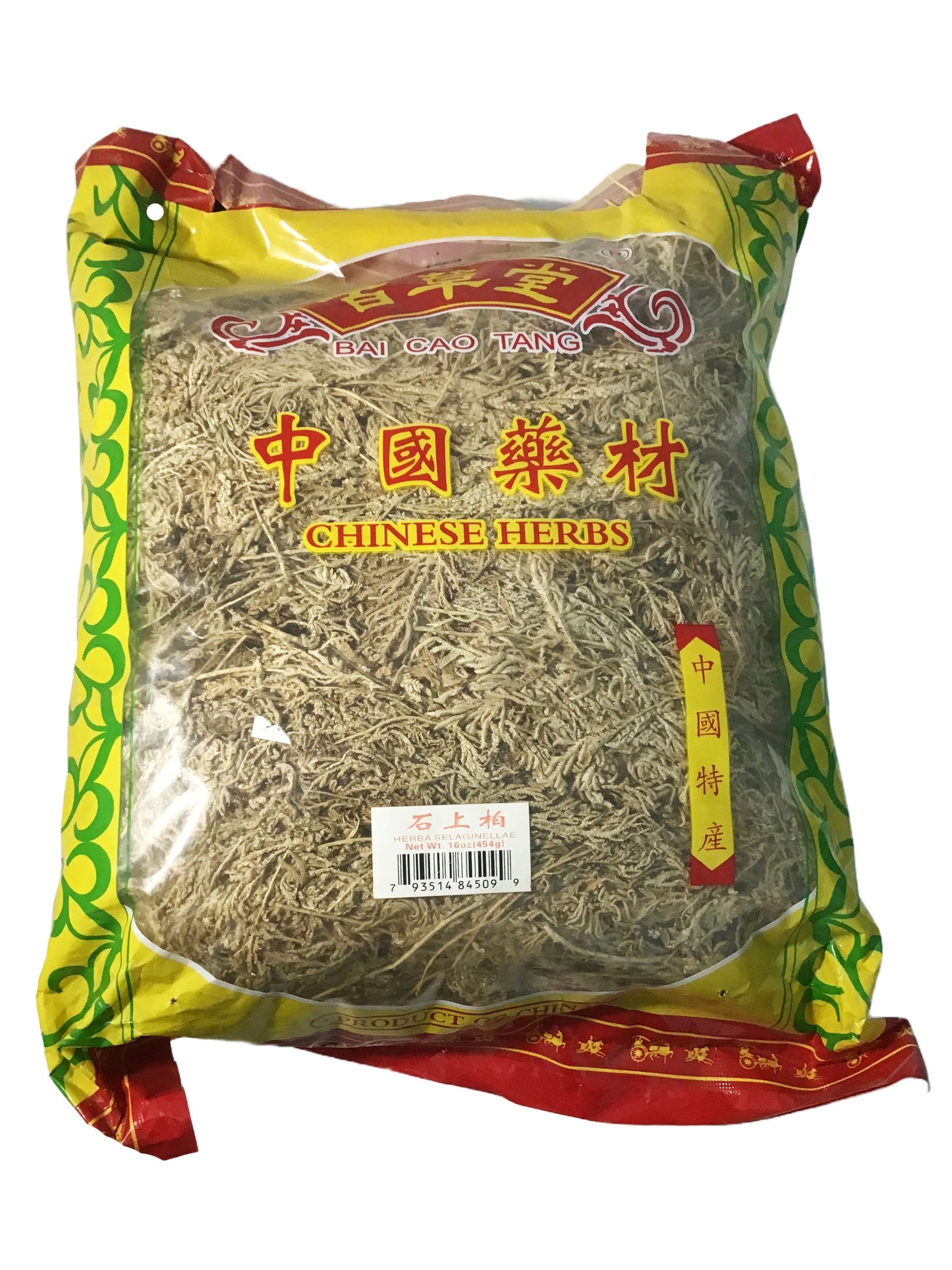 Selanginella (Herba Selanginellae Doederleinii) - 石上柏 (shí shàng bǎi)